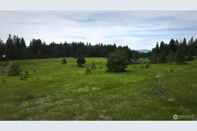 13 Miner's Ridge Road, Oroville, WA 98844 - Photo 12