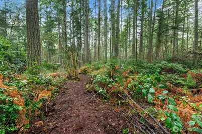0 SW 220th Street, Vashon, WA 98070 - Photo 14