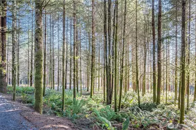 0 Bunker Hill Road #B, Longview, WA 98632 - Photo 2