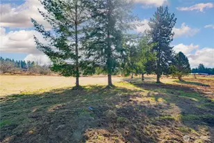 152 Mask Ln, Toutle, WA 98649 - Photo 40