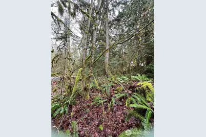 15026 Iceberg Road, Glacier, WA 98244 - Photo 1