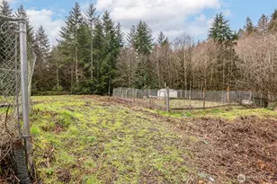 100 W Reller Rd, Shelton, WA 98584 - Photo 34