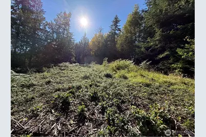 0 Chelsamish Drive, Sequim, WA 98382 - Photo 2