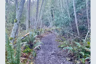 0 Chelsamish Drive, Sequim, WA 98382 - Photo 20