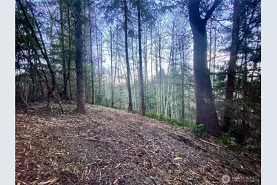 0 Chelsamish Drive, Sequim, WA 98382 - Photo 10