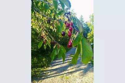 34502 SE 325th Street, Ravensdale, WA 98051 - Photo 20