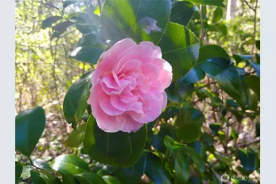 34502 SE 325th Street, Ravensdale, WA 98051 - Photo 22