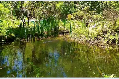 34502 SE 325th Street, Ravensdale, WA 98051 - Photo 18