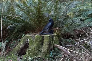 5455 No Name Rd, Anacortes, WA 98221 - Photo 40