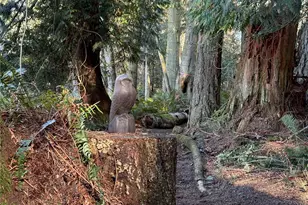 5455 No Name Rd, Anacortes, WA 98221 - Photo 38