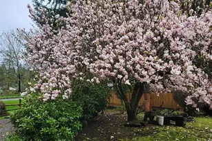 2733 SW Vantage Ave, Olympia, WA 98512 - Photo 24