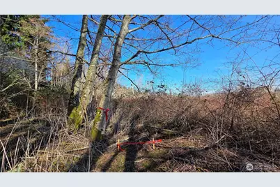 5707 Woodard Avenue, Freeland, WA 98249 - Photo 6