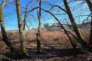 5707 Woodard Ave, Freeland, WA 98249 - Photo 1