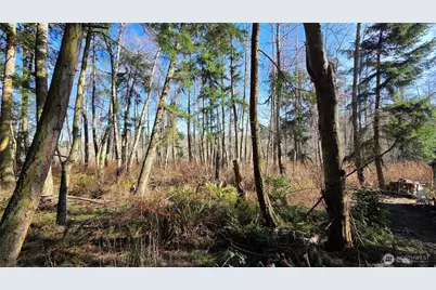 5707 Woodard Avenue, Freeland, WA 98249 - Photo 12