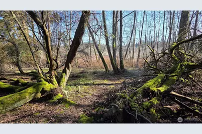 5707 Woodard Avenue, Freeland, WA 98249 - Photo 4