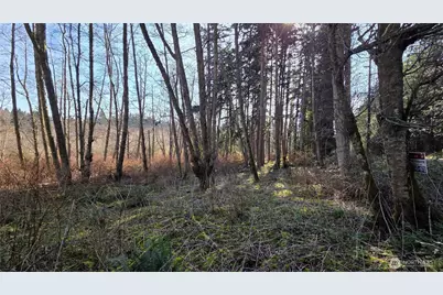 5707 Woodard Avenue, Freeland, WA 98249 - Photo 14