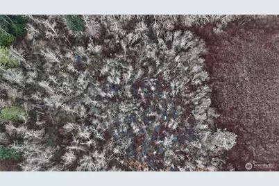 5707 Woodard Avenue, Freeland, WA 98249 - Photo 20