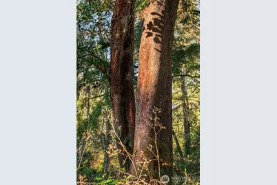 27810 99th Avenue SW, Vashon, WA 98070 - Photo 26