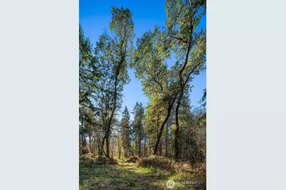 27810 99th Avenue SW, Vashon, WA 98070 - Photo 30