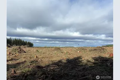 28840 Freelane Road, Carbonado, WA 98323 - Photo 2