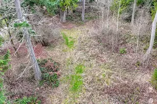 7308 335th St Ct S, Roy, WA 98580 - Photo 10