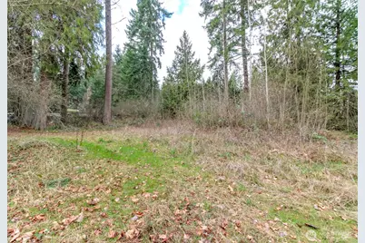 7308 335th Street Ct S, Roy, WA 98580 - Photo 14