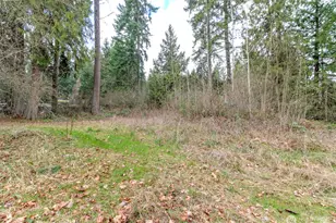 7308 335th St Ct S, Roy, WA 98580 - Photo 14