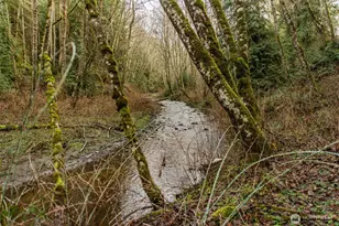 211 S Barr Rd, Port Angeles, WA 98362 - Photo 8