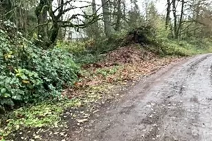 29280 NE 189th St, Duvall, WA 98019 - Photo 2