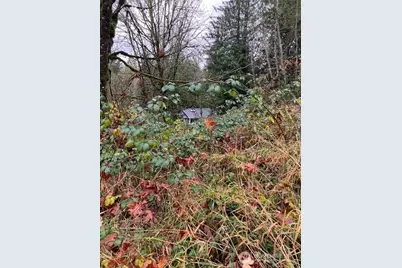 29280 NE 189th Street, Duvall, WA 98019 - Photo 8