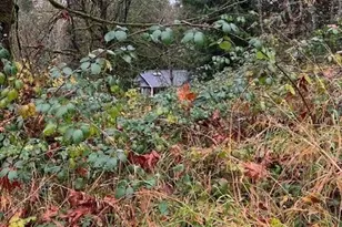 29280 NE 189th St, Duvall, WA 98019 - Photo 8