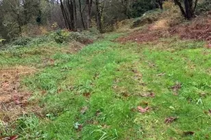 29280 NE 189th St, Duvall, WA 98019 - Photo 6