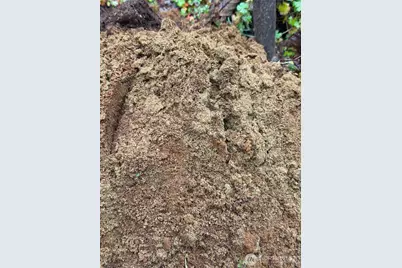 4843 NE Twin Spits Road, Hansville, WA 98340 - Photo 6