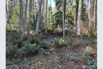 4843 NE Twin Spits Road, Hansville, WA 98340 - Photo 4