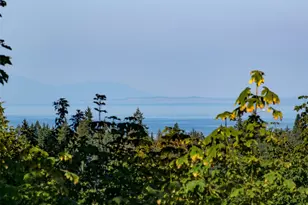 16 Owl Ln, Port Angeles, WA 98362 - Photo 38