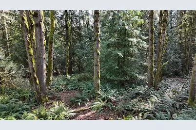 2254 Yew Street Road, Bellingham, WA 98229 - Photo 6