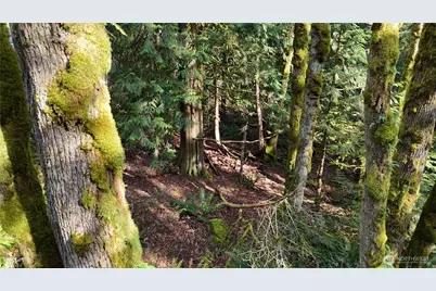 2254 Yew Street Road, Bellingham, WA 98229 - Photo 8