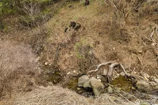 131 Casassa Rd, Cle Elum, WA 98922 - Photo 32