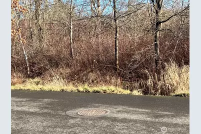 0 Xx 266th Avenue SE, Enumclaw, WA 98022 - Photo 1