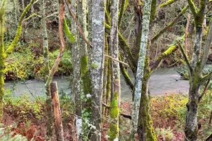 242 Agnew Pkwy, Port Angeles, WA 98362 - Photo 40