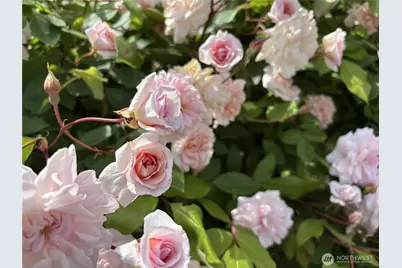 140 E Cedarland Lane, Allyn, WA 98524 - Photo 34