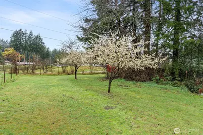 9918 168th Avenue SW, Rochester, WA 98579 - Photo 36