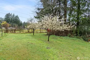 9918 168th Ave SW, Rochester, WA 98579 - Photo 36