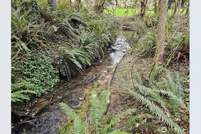 3017 Graf Road, Centralia, WA 98531 - Photo 34