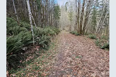 3017 Graf Road, Centralia, WA 98531 - Photo 26