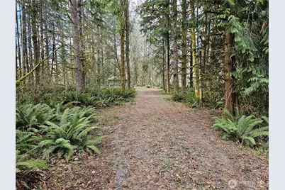 3017 Graf Road, Centralia, WA 98531 - Photo 28