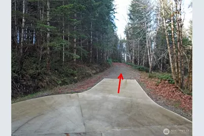 3017 Graf Road, Centralia, WA 98531 - Photo 24