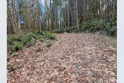 3017 Graf Road, Centralia, WA 98531 - Photo 38