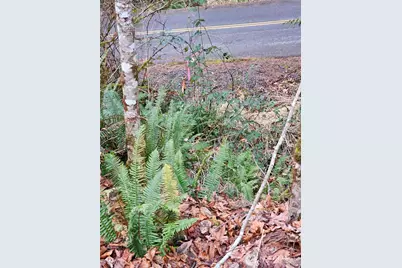 3017 Graf Road, Centralia, WA 98531 - Photo 22