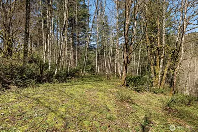 0 NE 5th Street, Washougal, WA 98671 - Photo 4